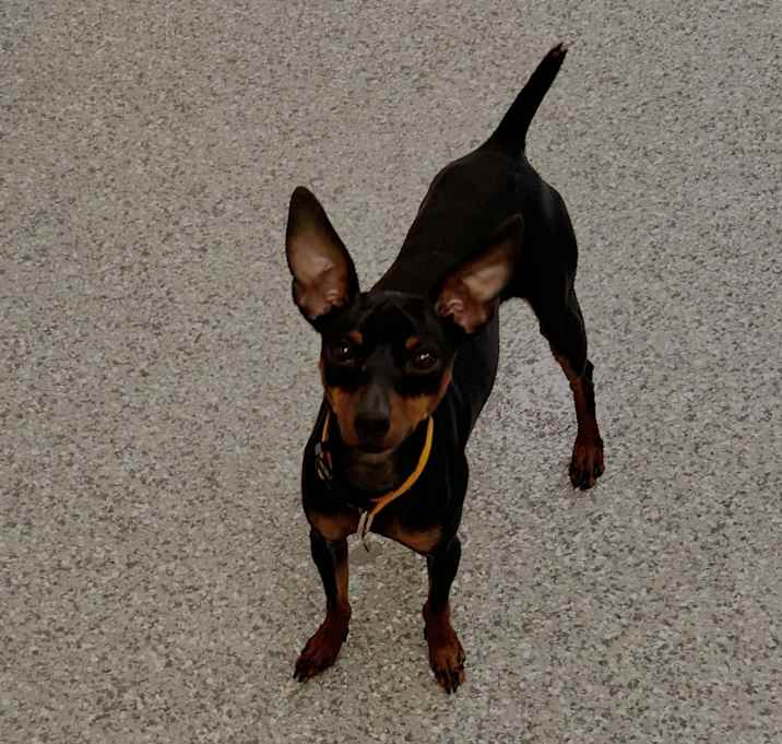 Photo of Molly