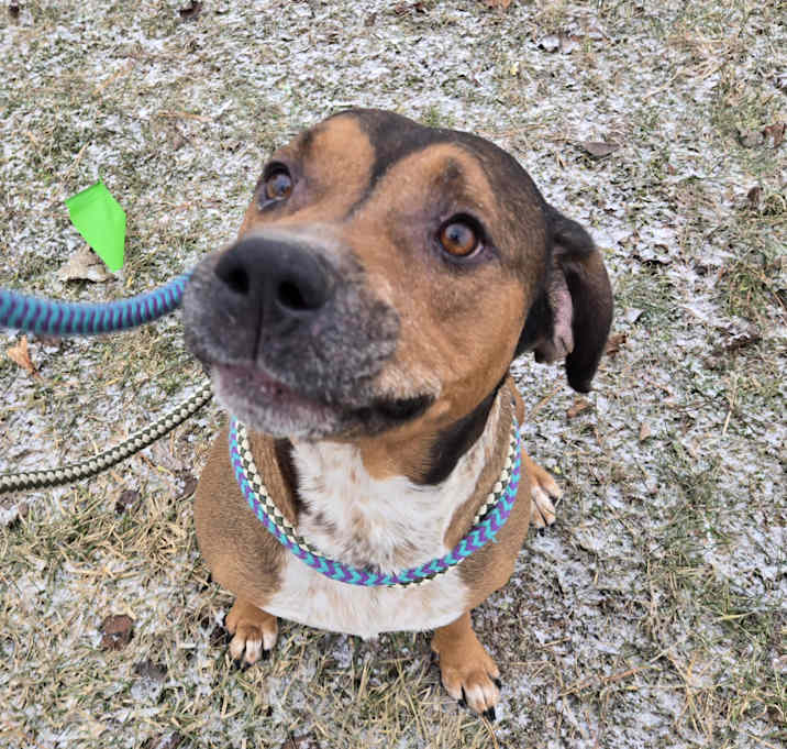 Photo of Bo
