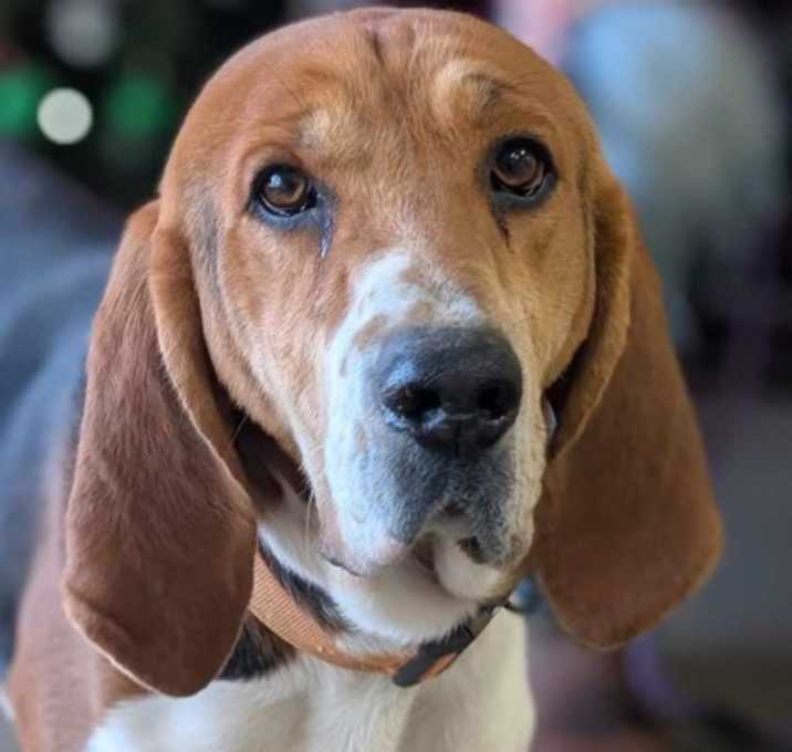 Photo of Gerald