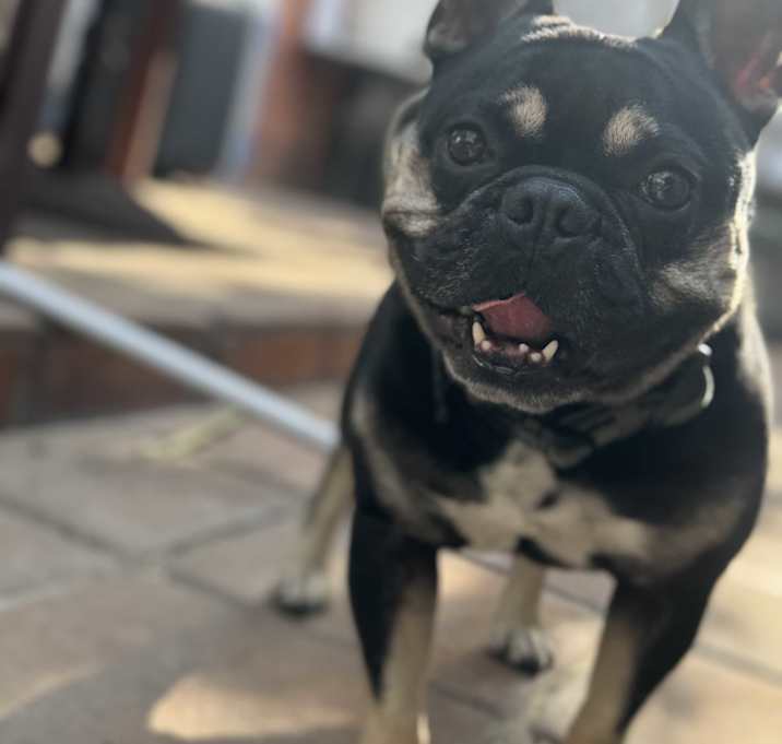 Photo of Tank