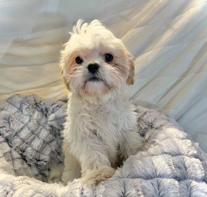 Photo of Maggie