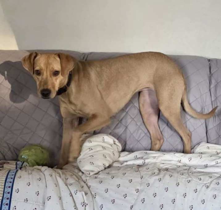 Photo of Hazel