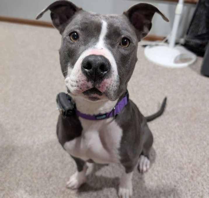 Photo of Chica