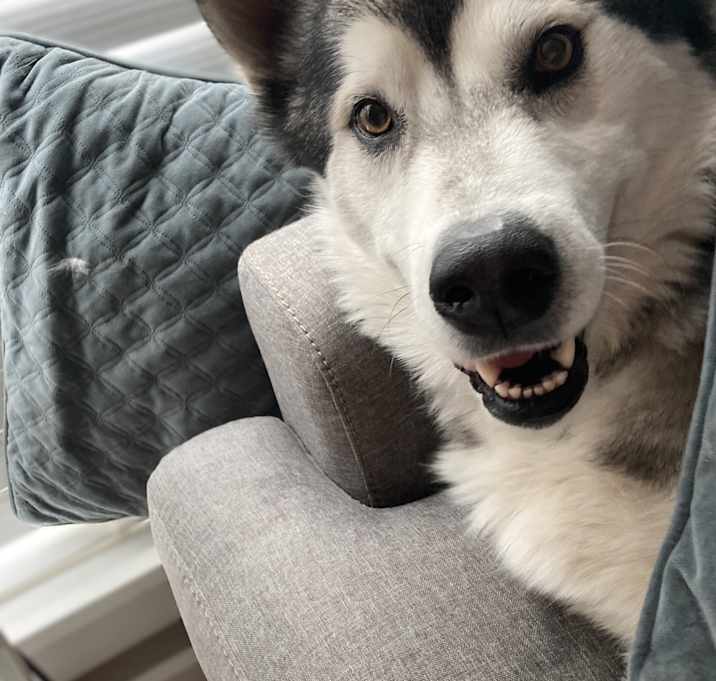 Photo of Oakley