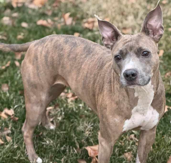 Photo of Kaylie - AVAILABLE