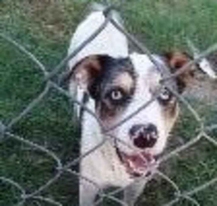 Photo of Obie