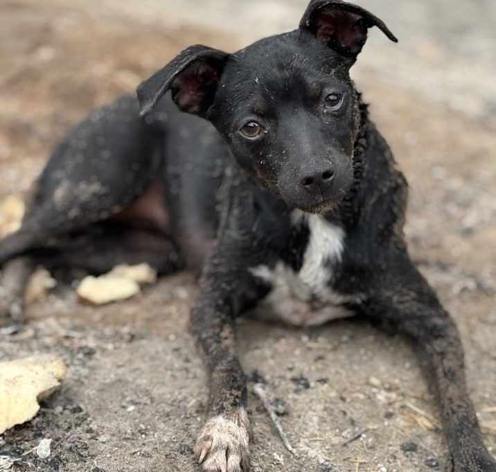 Photo of Miss Lady