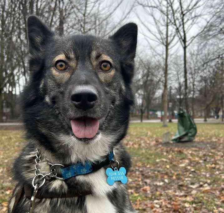 Photo of Mika