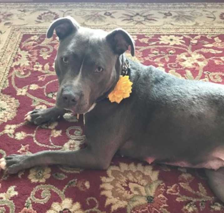 Photo of Bourbon IN FOSTER