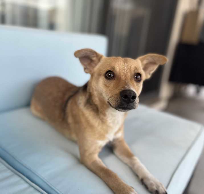 Photo of Zeek