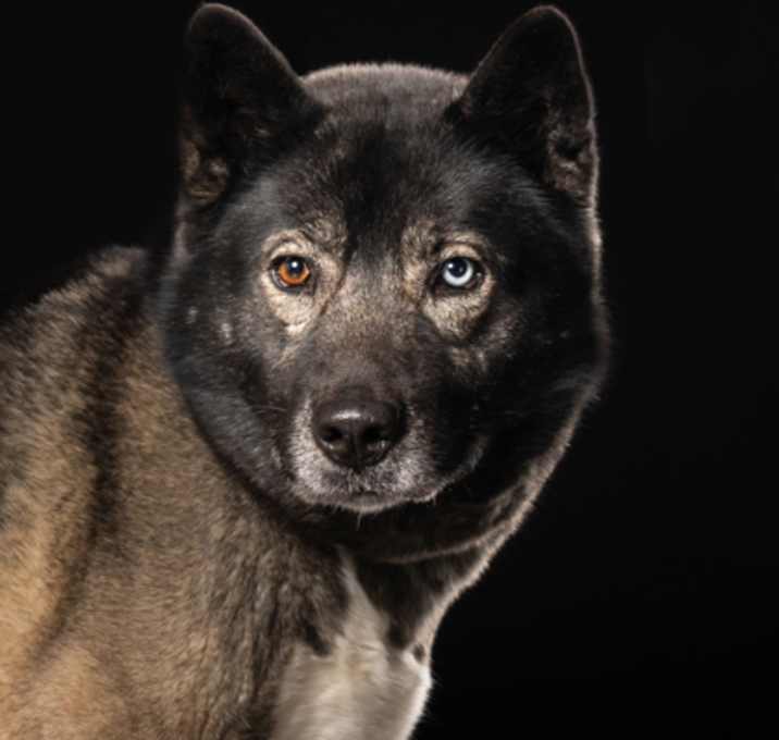 Photo of Sasha