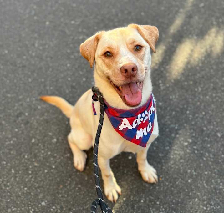 Photo of Tucker