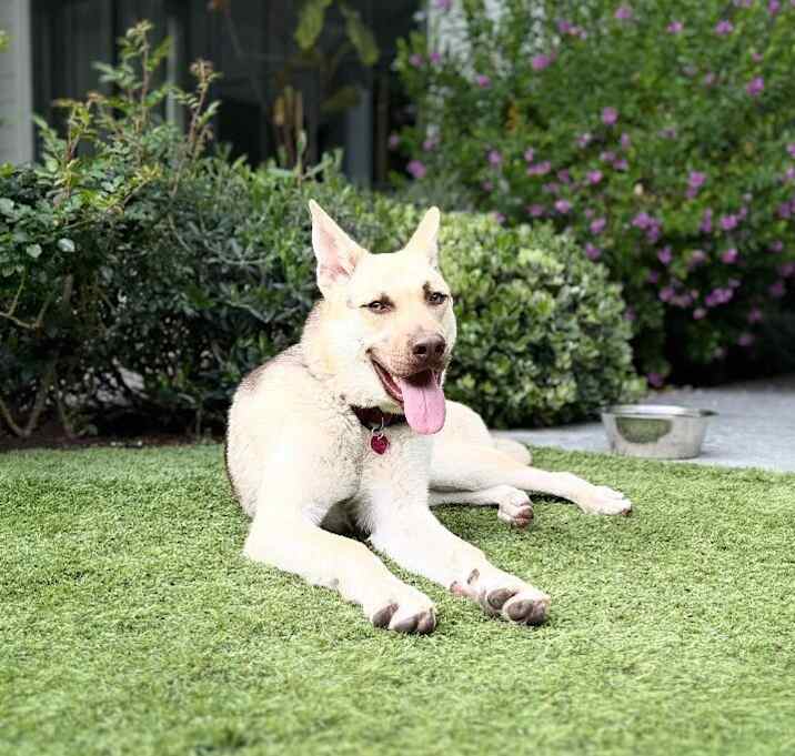 Photo of Cleo