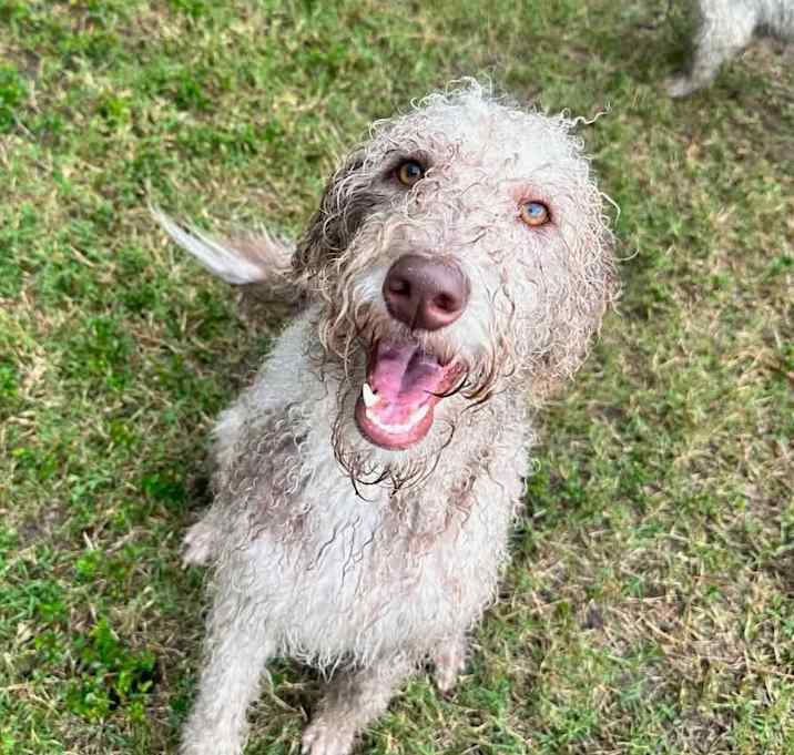Photo of Tilly