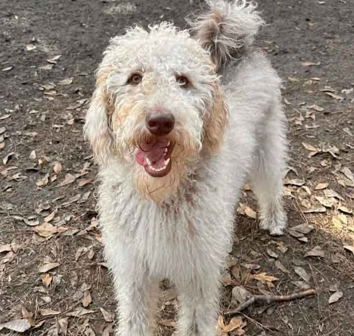 Photo of Tilly