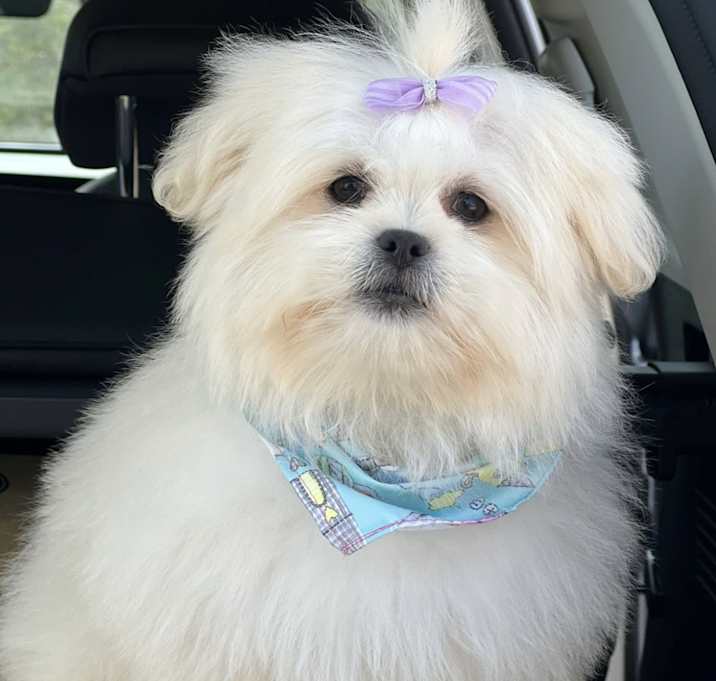 Photo of Pinky