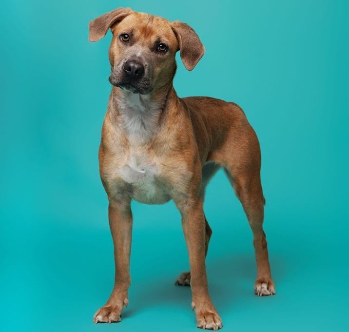 Photo of Teagan