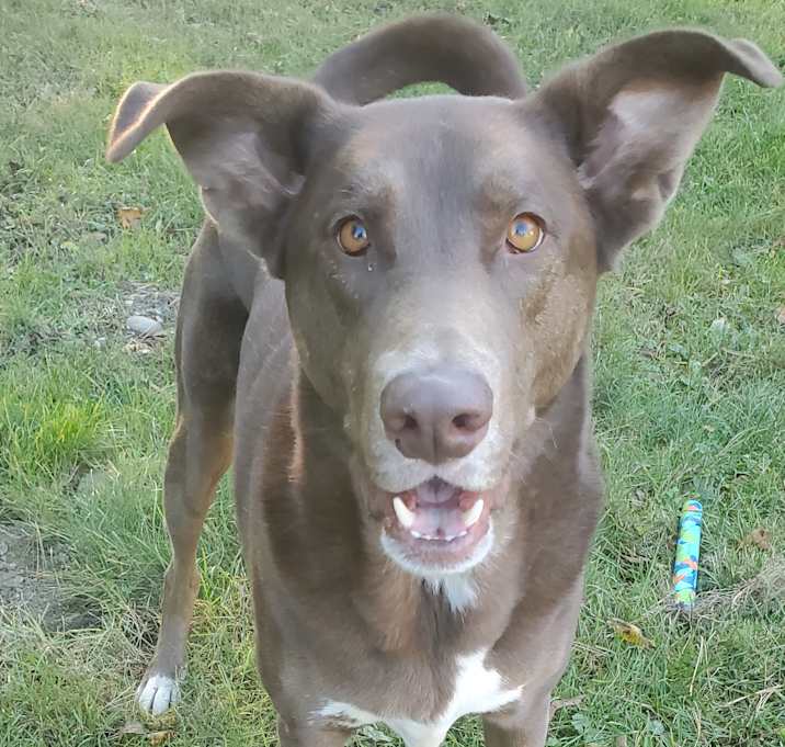 Photo of Loki