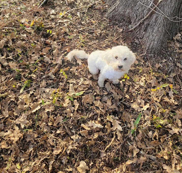 Photo of Holly