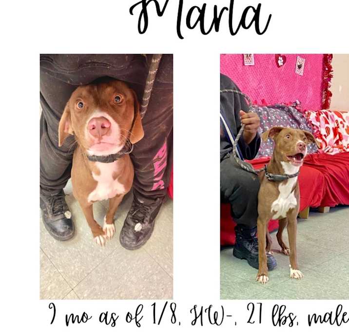 Photo of Marta