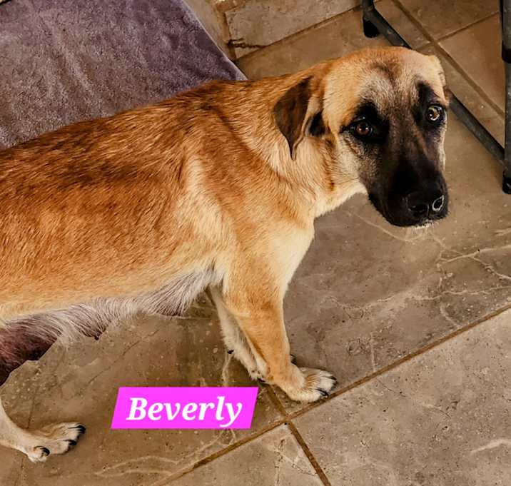 Photo of Beverly