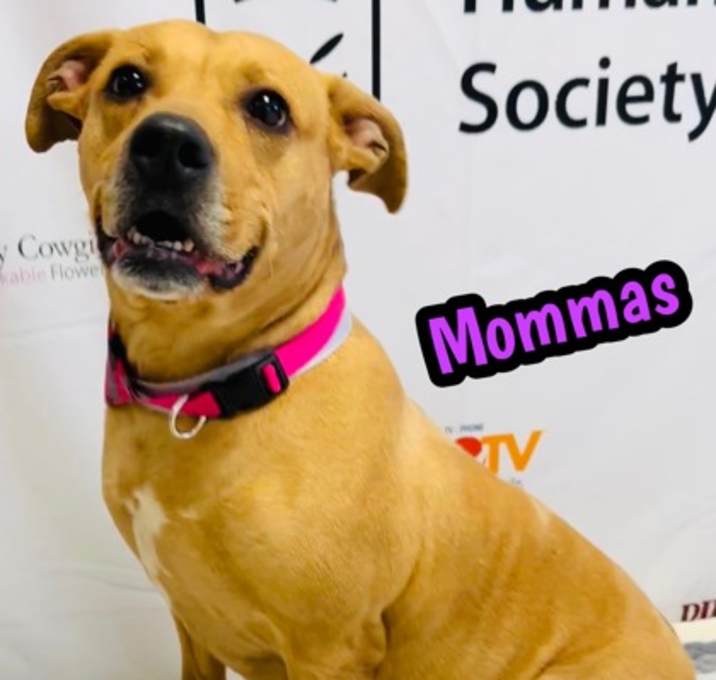 Photo of Mommas