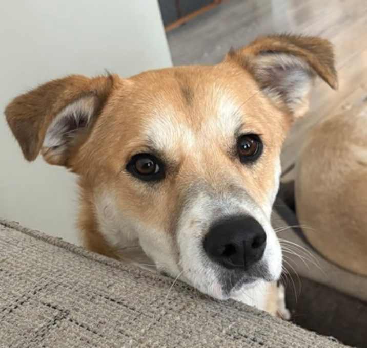 Photo of Kenji
