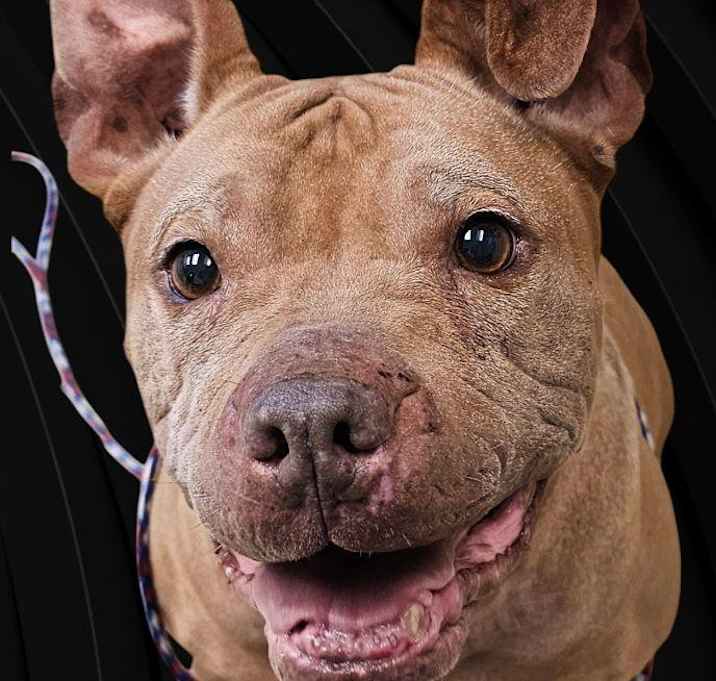 Photo of Teeter
