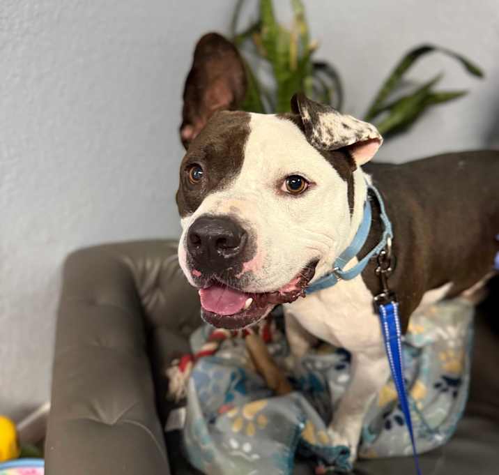 Photo of Bubba Charlie