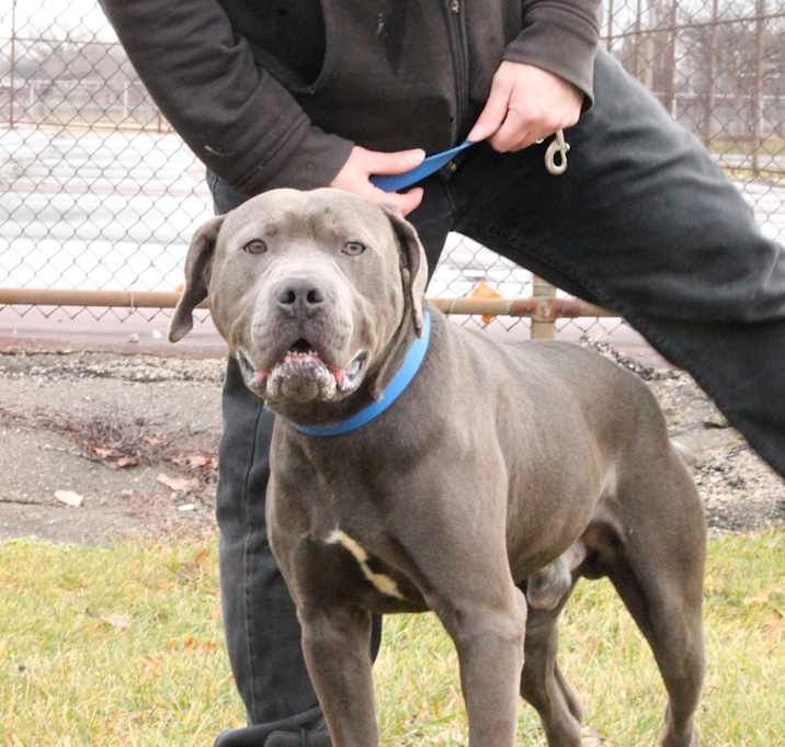 Photo of DOUG