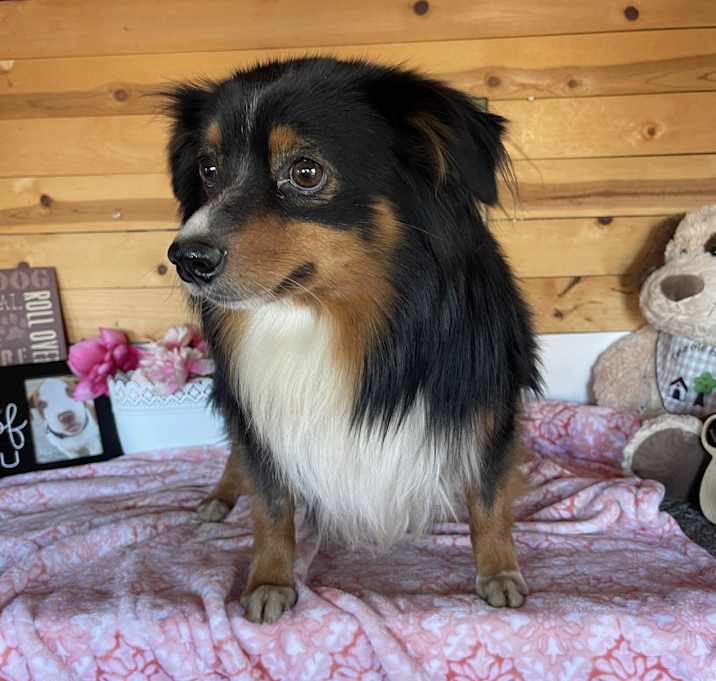 Photo of Champ
