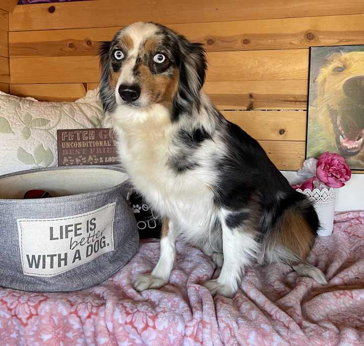 Photo of Celeste