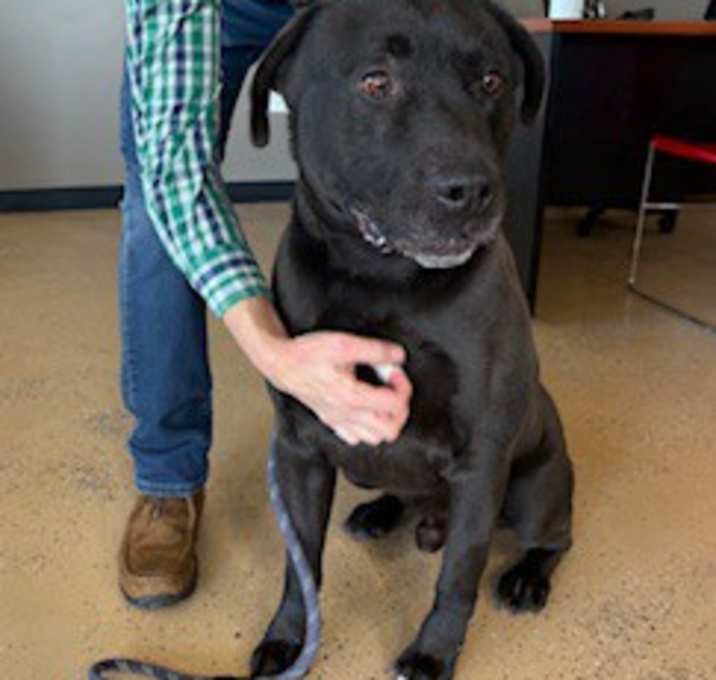 Photo of Apollo