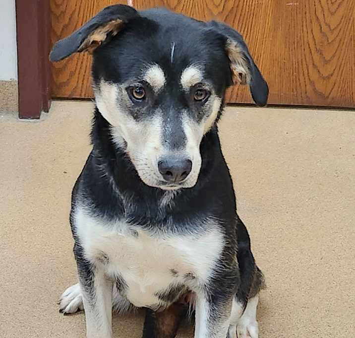 Photo of Sasha