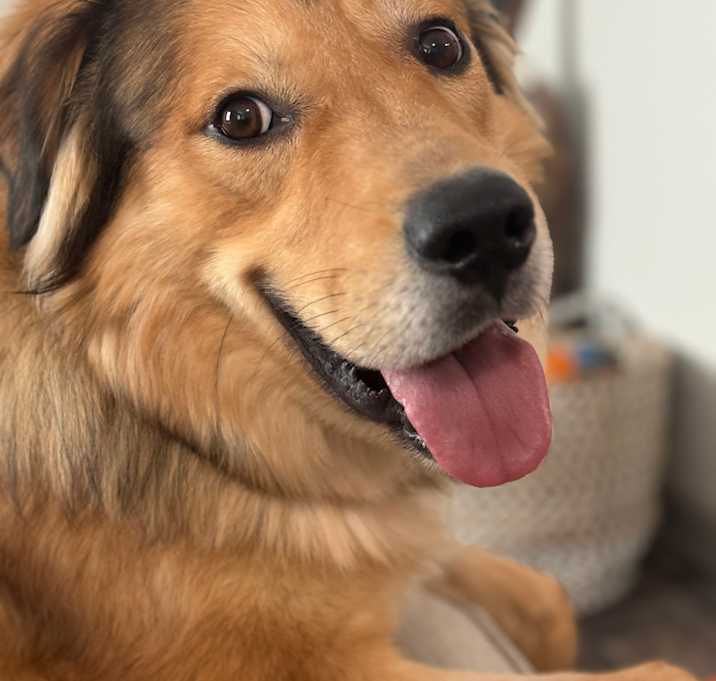 Photo of Reggie