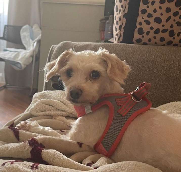 Photo of Lexi