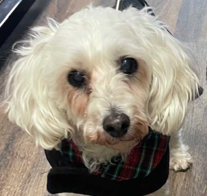 Photo of Andy