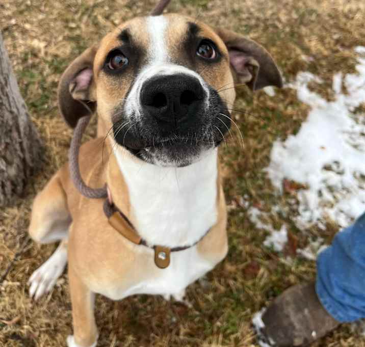 Photo of Muddy