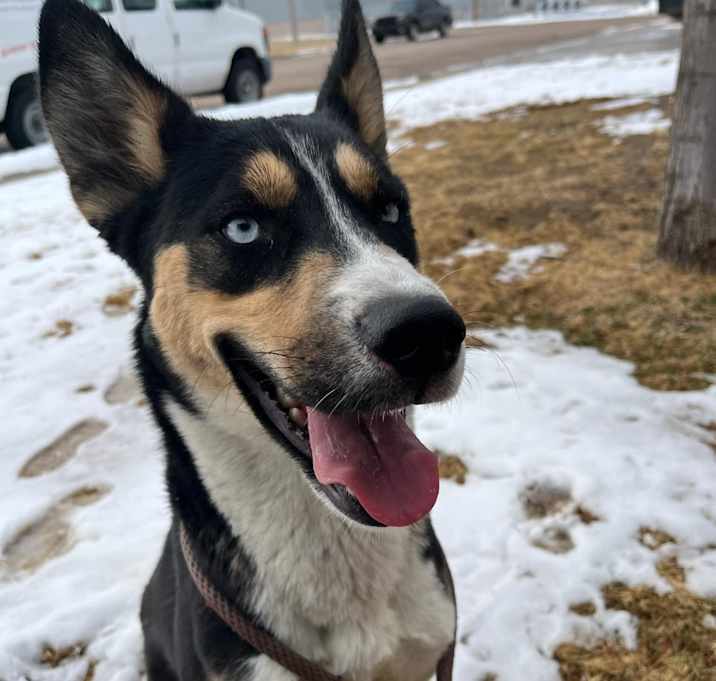 Photo of Daisy Aurora