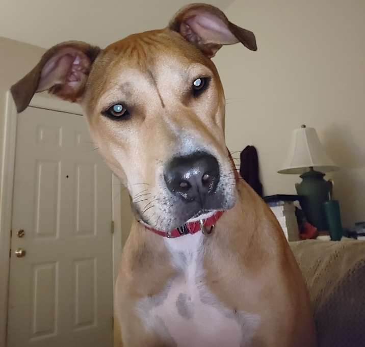 Photo of Max