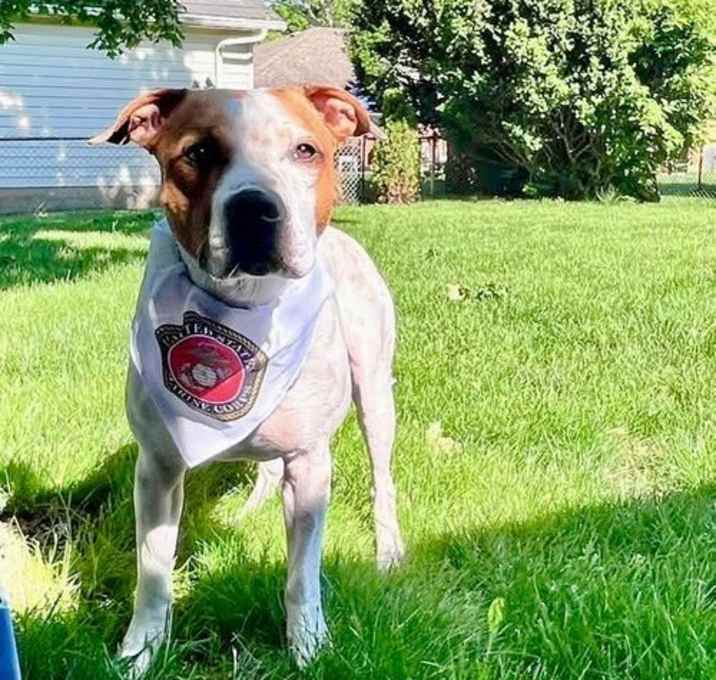 Photo of Scottie