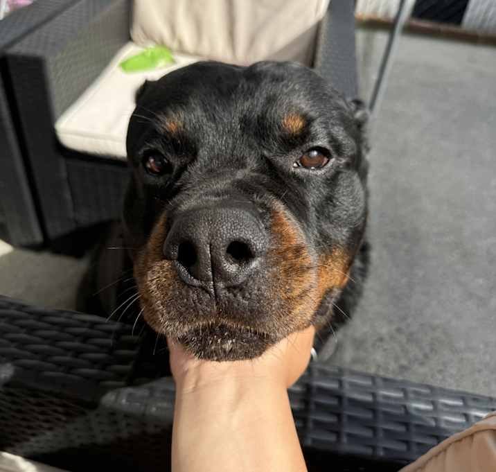 Photo of Jack
