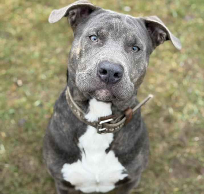 Photo of Brady