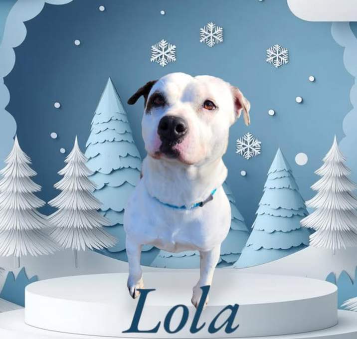 Photo of Lola