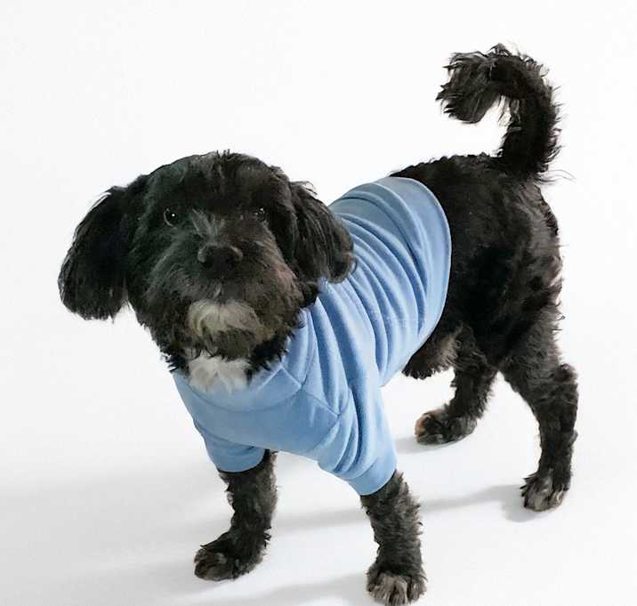 Photo of Charley