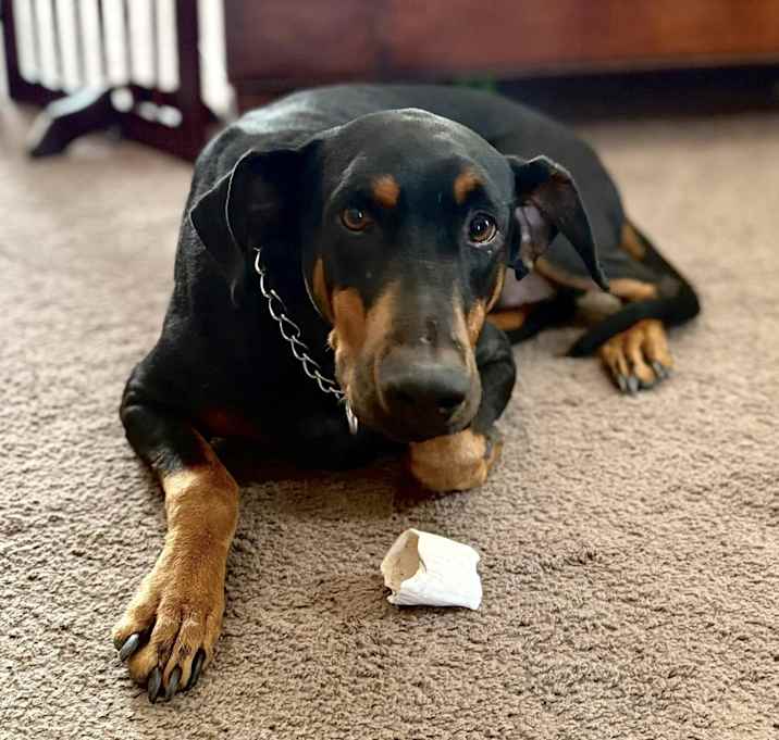 Photo of Gonzo