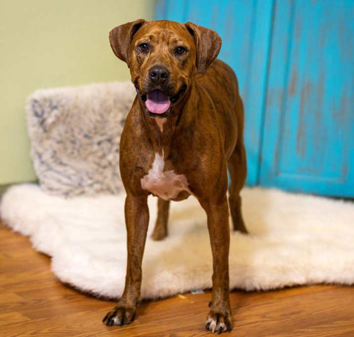 Photo of Penny