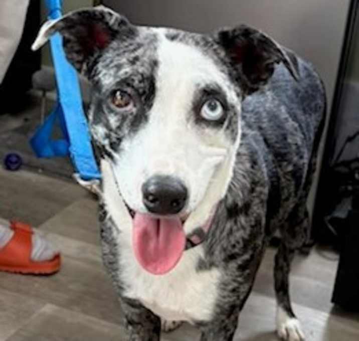 Photo of Whoopie