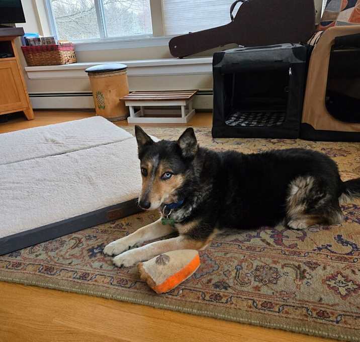 Photo of Gemma - 25001
