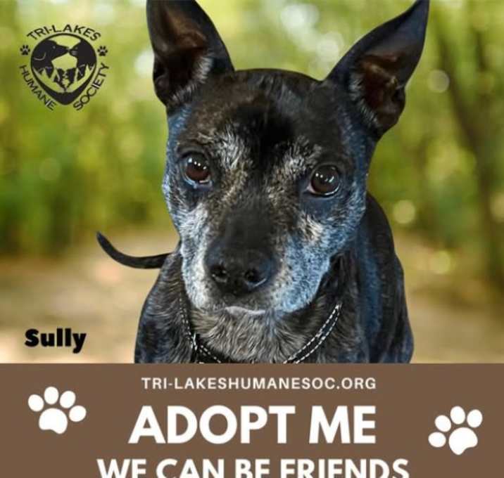 Photo of Sully